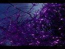Thumbnail #3