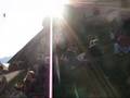 Falconry display at Hohenwerfen