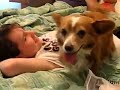 أجمل مقطع سكس  كلب ينيك بنت صغيرة
