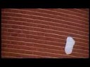 American beauty italiano