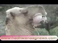 Xasan aadan samatar