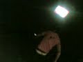 zala9  discoteque disco  practica  shou flair  xapu  viña xd