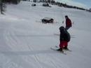 down syndroom down hill