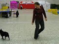 Amelie Jump