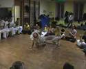 portes ouvertes du 4 au 9 f�vrier 2008.
jeu entre prof jilo (danemark) et formado thiago (senzala de santos).
un avant-go�t du festival les 16, 17 et 18 mai 2008 � saint etienne!
www.senzalasaintetienne.com