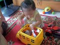 SDC17986_mpeg2video.mpg
