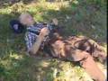 Man Trapped Under Tractor