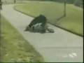 Bike Mishaps Montage