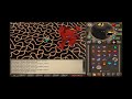 [RS] Jad with a Cat Toy