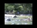 Domingo en el rio pance.Cali Colombia