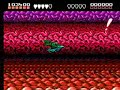 Battletoads NES in 13:27 by Phil Côté & Genisto