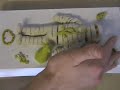 How to Make a Mummy