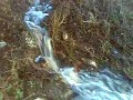 Illegal Israeli settlers release sewage on Palestinian farms Illegal Israeli settlers release sewage on Palestinian farms