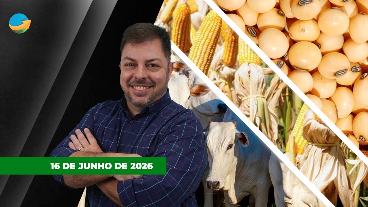 FECHAMENTO DE MERCADO - EDIÇÃO 16-06-2026