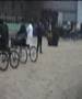 videos de Makari Jetsetter Hackney horse