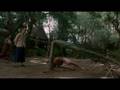videos de kickboxer van