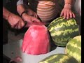 BORGO IN FESTA - (Fraz. Bonavita di Montagnareale)