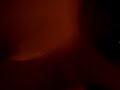 Jad och Vecki testar Serpentinen för sjuttioelfte gången och gissa vad, det är alltid lika roligt!  - Wazz uuuuuuuuuuup!!!!!!
