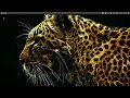 Click here to watch this video 7 Best Unity Lens for Ubuntu 12.04