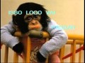daniel quatro por um.wmv