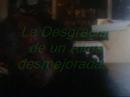 Mi Lobotomia