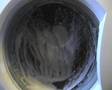 Ariston A1636 Sudsy Second spin