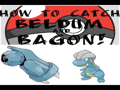 how to train metagross