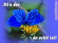 Suflet pierdut