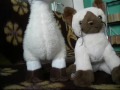 Webkinz review part 2