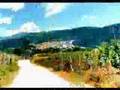 video calabria