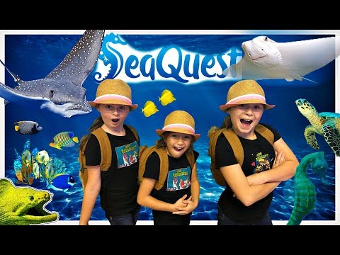Kids Animal Adventure: SeaQuest Interactive Aquarium