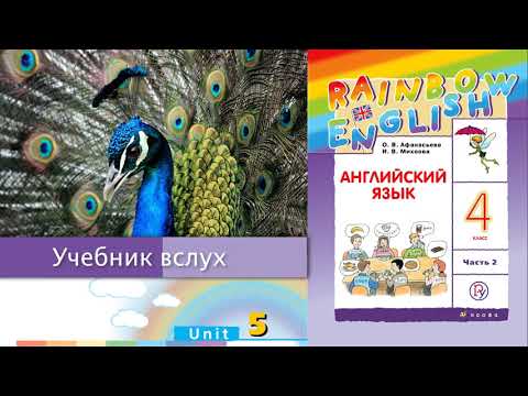 Учебник вслух - Rainbow English 4-2, Unit 5 Step 2, Английский язык 4 ...