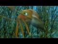 El Delfín (The Dolphin) Teaser 2 Best Quality El Delfín (The Dolphin) Teaser 2 Best Quality
