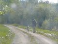 minnedosa moose