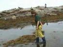 Aspect (White Sea 2007)