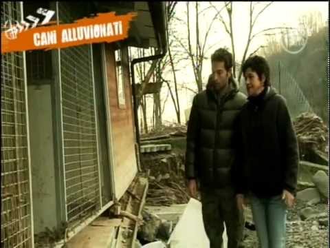 Vedi il video