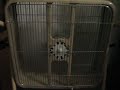 Lakewood P-20 Box Fan Lakewood P-20 Box Fan