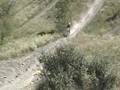 yz 250 hill climb