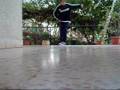 C WALK sn1-- ~ Pitbull - move , shake , drop