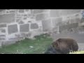 bear2.avi