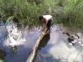 Video Cassetada
