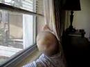 Playing with the curtains Playing with the curtains