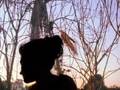 Sarabeth Tucek - Something For You