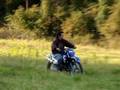 my ttr 225 tear up the trails