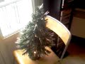 Mon petit sapin