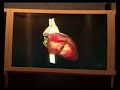 Holographic display from SIGGRAPH