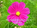 Recomeçar com legenda (Aline Barros)