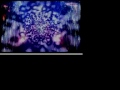 VJ DVDJs The DVDJs Rok Mix