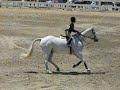Reed Kessler at Devon in the ASPCA maclay Reed Kessler at Devon in the ASPCA maclay