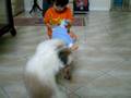 videos de Baby Bench.....